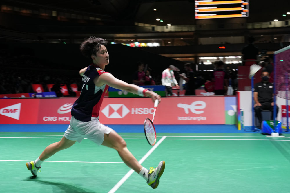 不仅提升了 不仅提升了