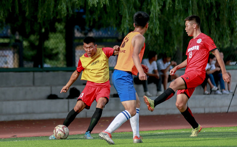 真实世界的 真实世界的